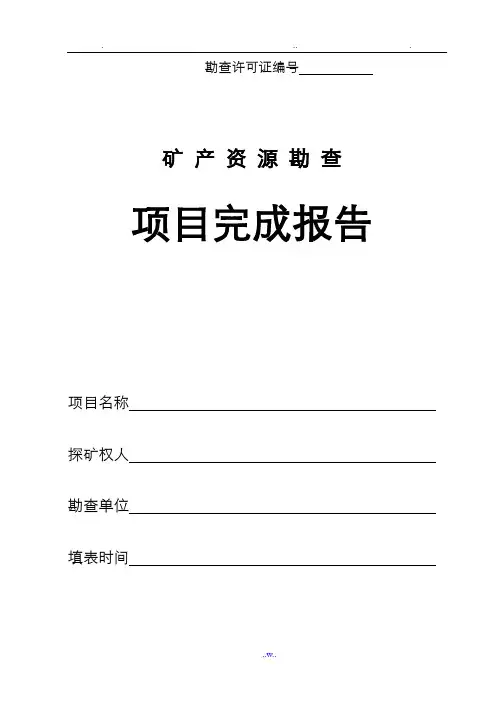 矿产勘查项目报告