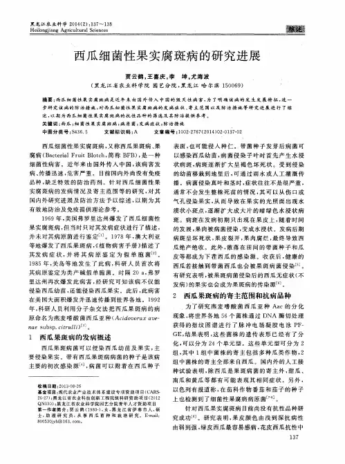 西瓜细菌性果实腐斑病的研究进展