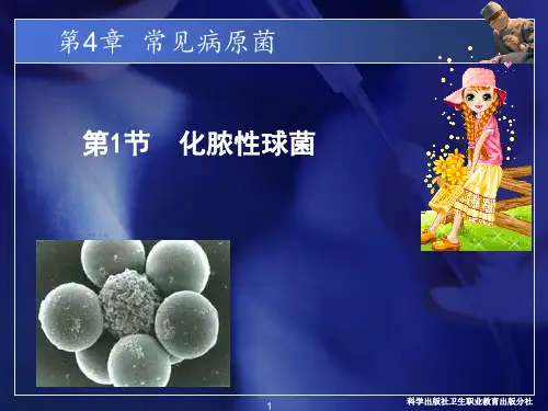 常见病原菌：化脓性细菌