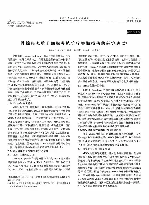 骨髓间充质干细胞移植治疗脊髓损伤的研究进展