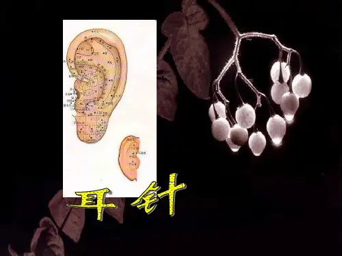 耳穴--耳针