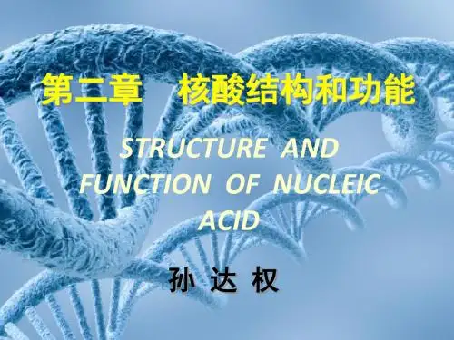 CH2核酸的结构与功能,2h
