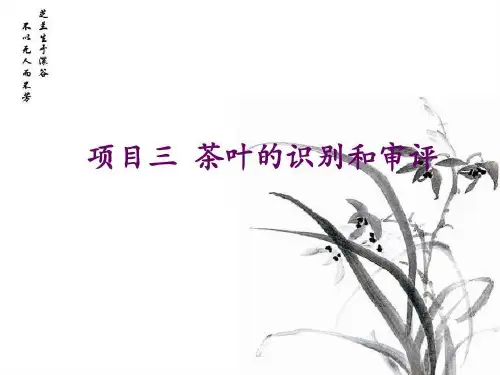 茶叶的识别和审评共30页