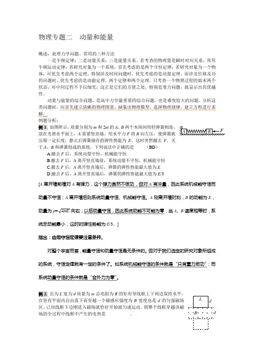 物理专题二  动量和能量