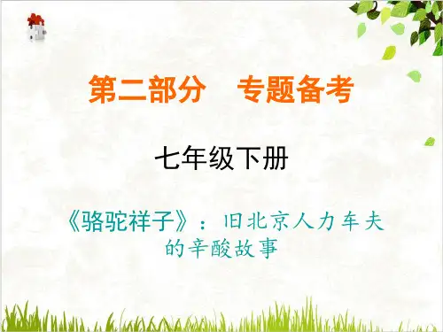 名著阅读(专题备考)七年级下册骆驼祥子