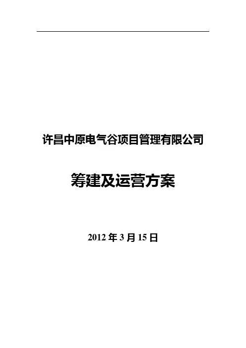 项目管理有限公司筹建方案