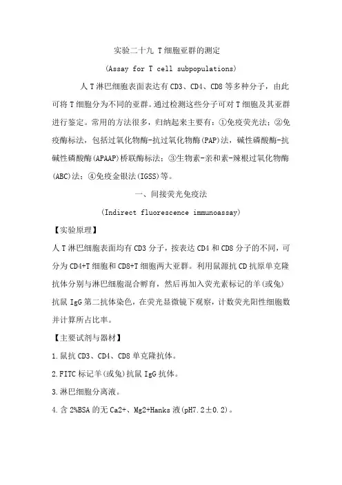 TC   Microsoft Word 文档