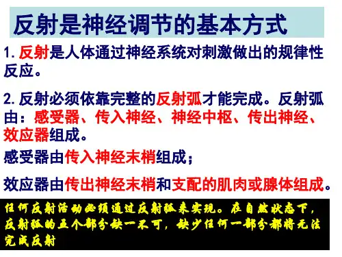条件反射和非条件反射PPT演示文稿
