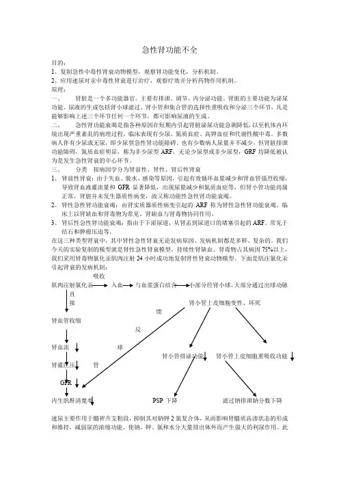 急性肾功能不全