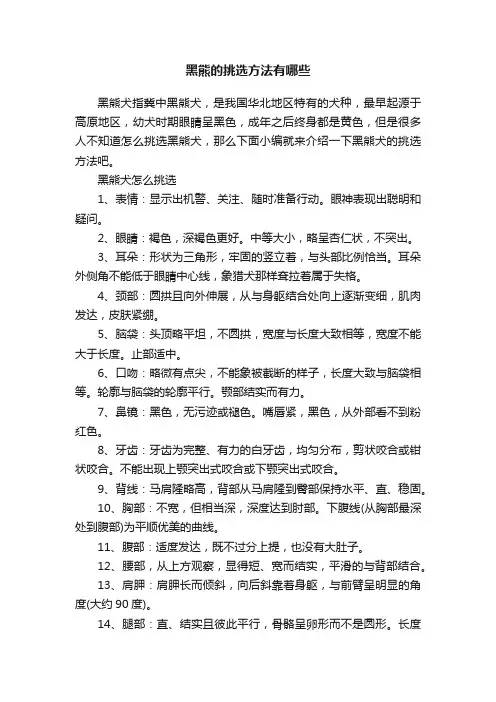 黑熊的挑选方法有哪些