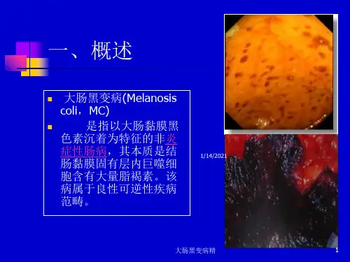 大肠黑变病精培训课件