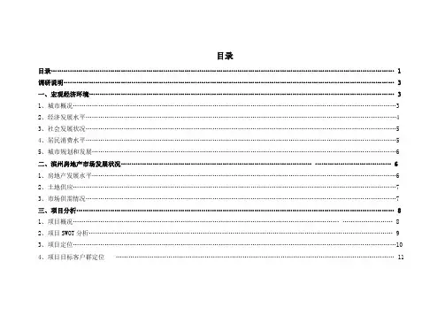 2007年滨州项目市场调研报告-18