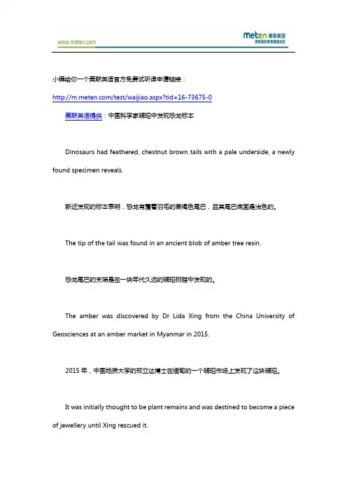 【美联英语】中国科学家琥珀中发现恐龙标本