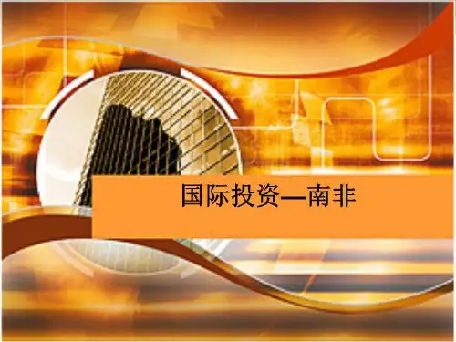 南非国际投资分析(免费)