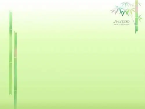苏教版六年级语文下册第四单元复习课件