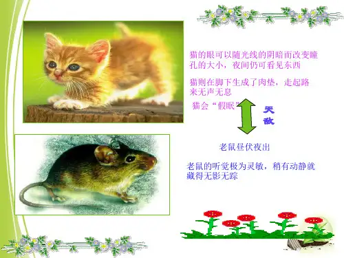 哲学与人生第六课