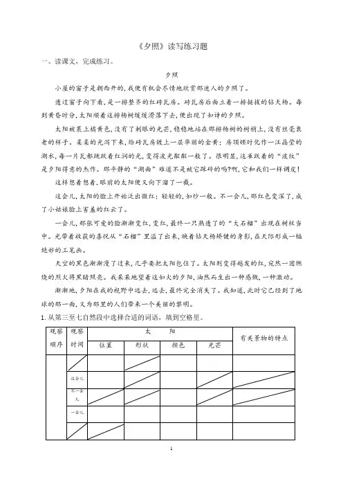 《夕照》读写练习题