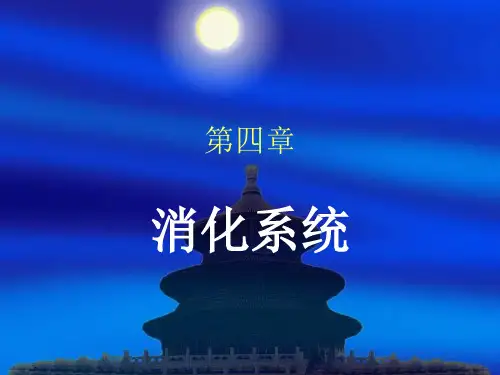 第四章消化系统
