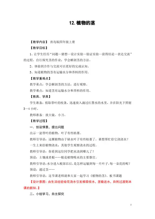 四年级科学《植物的茎》