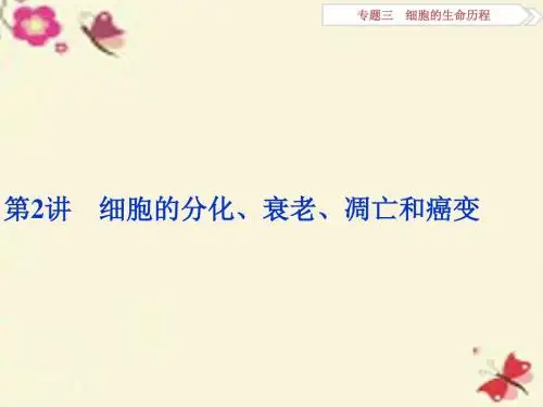 高考生物二轮复习专题三细胞的生命历程第2讲细胞的分化、衰老、凋亡和癌变课件