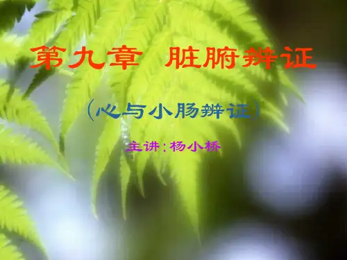 第八章 脏腑辨证(心与小肠病辨证)