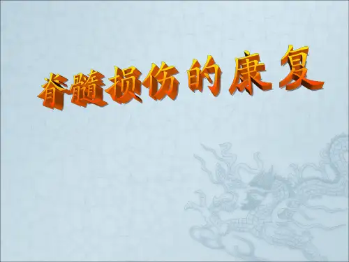 19截瘫康复