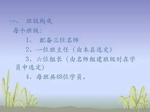 班级组建