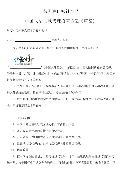 代理方案 2