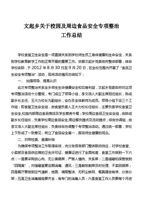 关于校园及周边食品安全专项整治工作总结