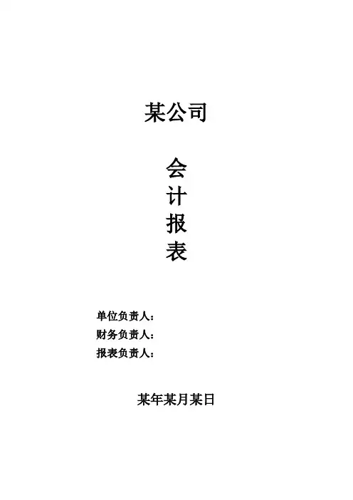 税务申报表.会计报表模板
