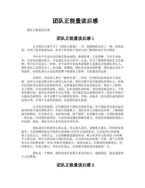 团队正能量读后感