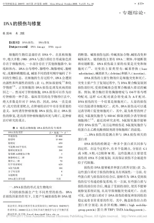 DNA的损伤与修复