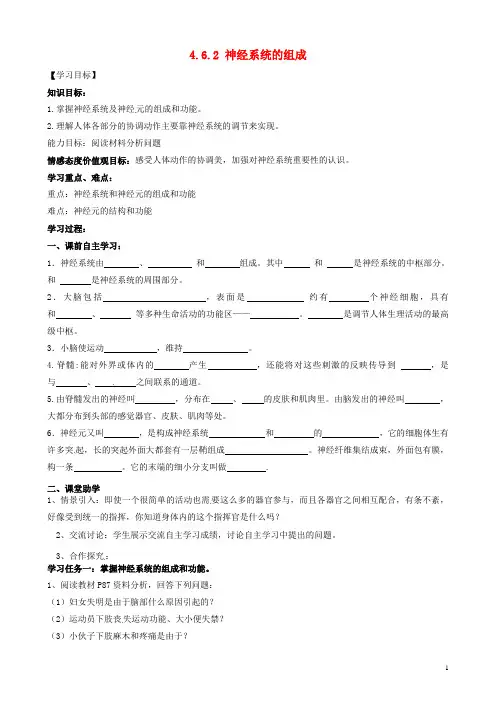七年级生物下册4.6.2神经系统的组成导学案1(无答案)(新版)新人教版(新)