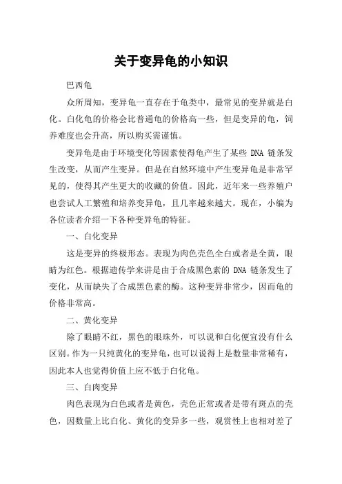 关于变异龟的小知识