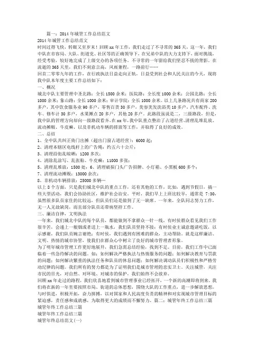 城管工作总结范文