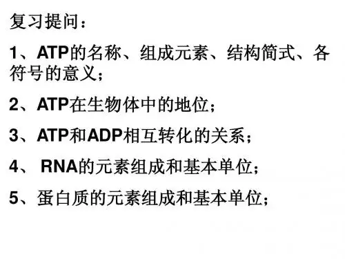 酶在代谢中的作用