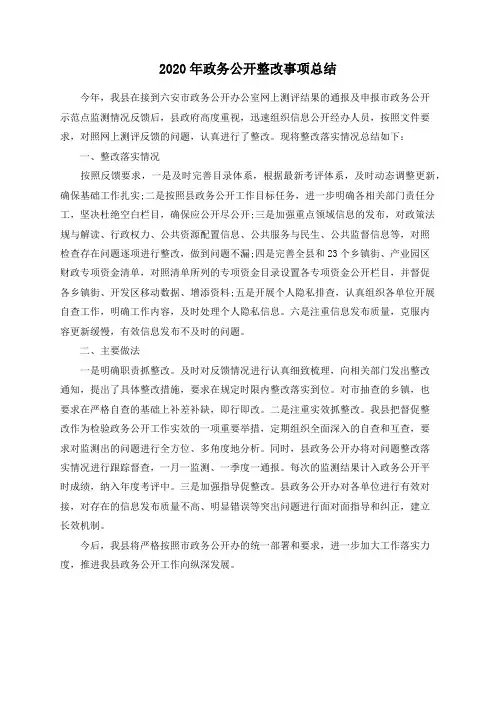 2020年政务公开整改事项总结