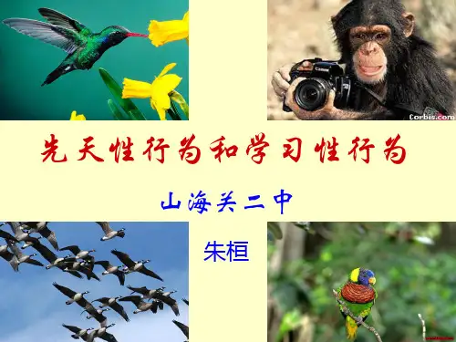 先天性行为和学习性行为.ppt