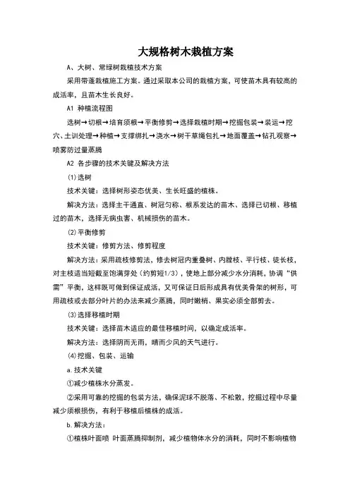 乔木栽植方案