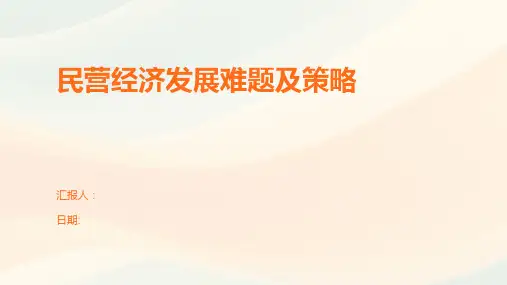 民营经济发展难题及策略