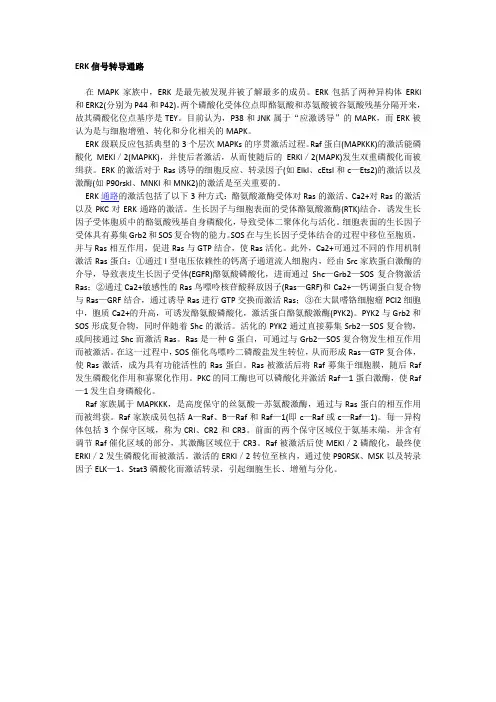 ERK信号转导通路