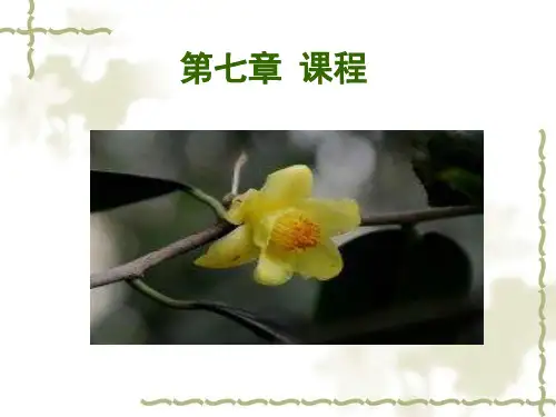 教育学第七章 课程