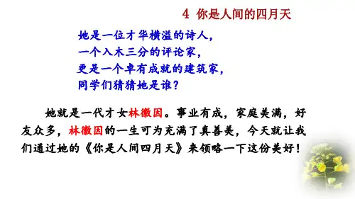 【新教材】部编版九年级语文上册《你是人间的四月天》ppt课件
