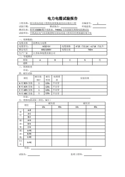电缆试验表格
