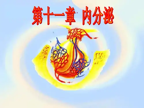 第十一章内分泌