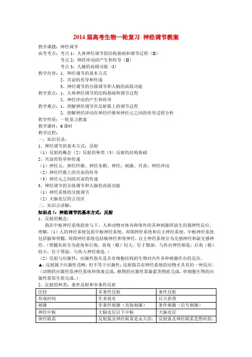 高考生物一轮复习 神经调节教案