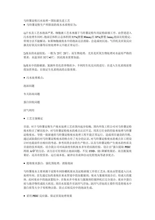 马铃薯淀粉污水处理-国际最先进工艺