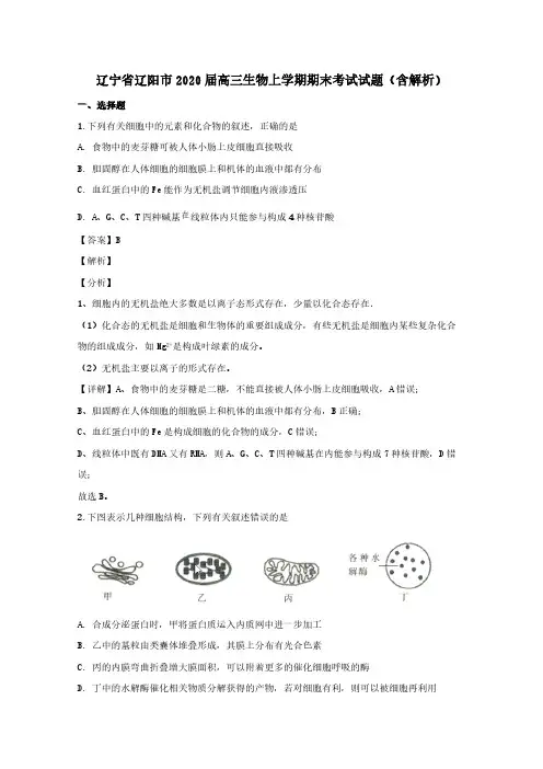 辽宁省辽阳市2020届高三生物上学期期末考试试题含解析
