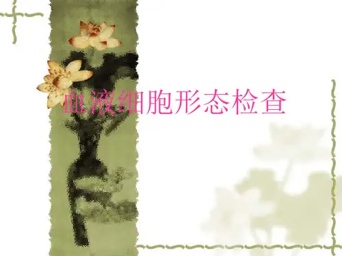 血液细胞形态检查