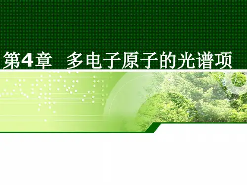 多电子原子的光谱项